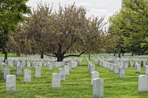 arlington cemetery graveyard photo