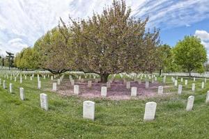 arlington cemetery graveyard photo