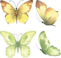 Watercolor vector illustration of yellow and green butterflies, isolate on white background.