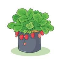 hand drawn strawberry plant vector