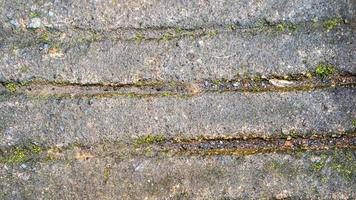 old concrete roads that have started to break down and are mossy photo