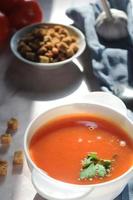 vertical still life from a plate with tomato soup, tomatoes, garlic and breadcrumbs photo