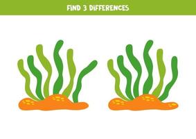 encontrar 3 diferencias Entre dos dibujos animados algas vector