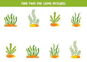 Find two the same sea weed. Educational game for preschool children. vector