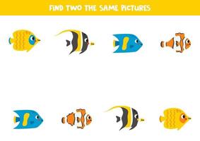 Find two the same reef fish. Educational game for preschool children. vector