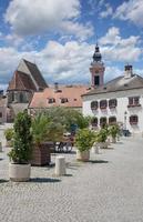 Wine Village of Rust at Lake Neusiedler See,Burgenland,Austria photo