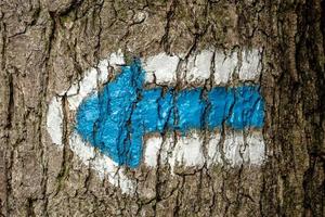 Blue tourist sign on a tree trunk photo