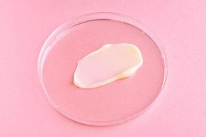 White cosmetic face cream or body lotion moisturizer strokes on pink background in petri dish. Hygiene, skincare product with creamy texture. Beauty face creme smear swatch on color background photo