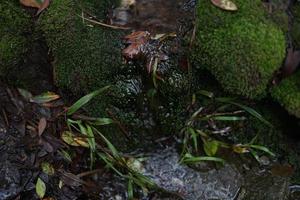 indonesian tropical mountain water flow. photo