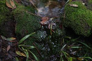 indonesian tropical mountain water flow. photo