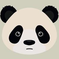 común panda oso mamífero animal cara vector