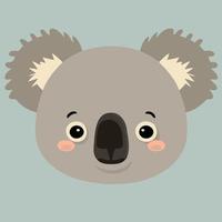 common koala herbivore mammal animal face vector