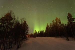 Forest covered in white and spectucular green Northers lights photo