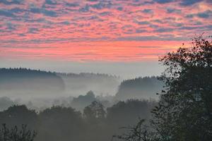 Sunrise over a misty forest. Dawn in fairy forest with dramatic glowing sky photo