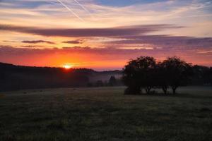 Sunrise over a neighboring forest with meadow in the foreground. Pasture landscape photo