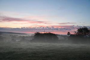 amanecer terminado un vecino bosque con prado en el primer plano. pasto paisaje foto