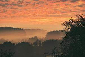 Sunrise over a misty forest. Dawn in fairy forest with dramatic glowing sky photo