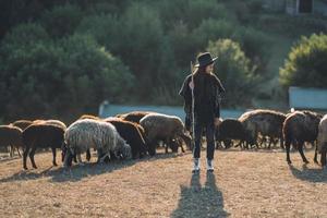 pastora y rebaño de ovejas en un césped foto