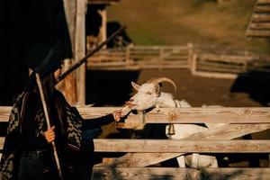 A young beautiful woman feeds a goat behind a fence photo