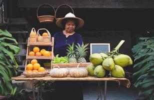 Asia vendedor de venta frutas a el granja permanecer, quedarse en casa a Tailandia loei foto