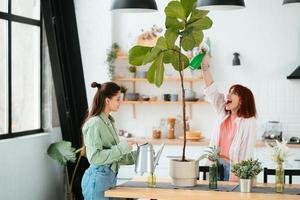 Two young women is taking care of houseplants watering and spraying with water. photo
