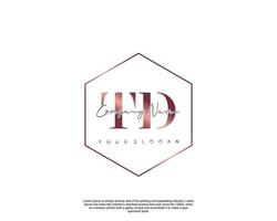 Initial letter TD Feminine logo beauty monogram and elegant logo design, handwriting logo of initial signature, wedding, fashion, floral and botanical with creative template vector