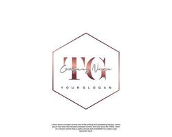 Initial letter TG Feminine logo beauty monogram and elegant logo design, handwriting logo of initial signature, wedding, fashion, floral and botanical with creative template vector