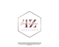 Initial letter TZ Feminine logo beauty monogram and elegant logo design, handwriting logo of initial signature, wedding, fashion, floral and botanical with creative template vector