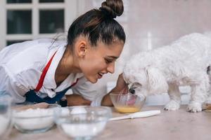 lindo perro maltés blanco olfateando comida en la mesa foto