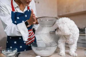 Woman in the kitchen sifts flour together with a dog photo