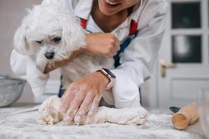 mujer en la cocina amasa la masa con su perro foto