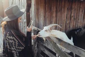 Woman takes a photo of a goat on her smartphone.