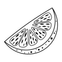 Slice of orange fruit. Hand drawn illustration in doodle style. vector