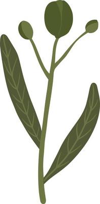 Leaves on a green branch.