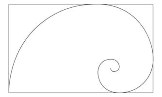 Golden ratio logarithmic spiral in rectangle frame. Harmony nature ideal proportions template. Nautilus shell shape. Leonardo Fibonacci sequence sign vector