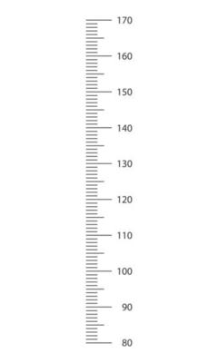 Stadiometer scale from 80 to 170 cm. Children height chart template for wall growth stickers 20455618 Vector Art at Vecteezy