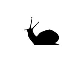 Snails are also called Escargot Silhouette for Logo, Art Illustration, Apps, Website or Graphic Design Element. Vector Illustration