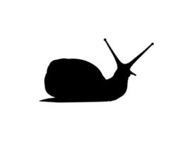 Snails are also called Escargot Silhouette for Logo, Art Illustration, Apps, Website or Graphic Design Element. Vector Illustration