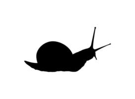 Snails are also called Escargot Silhouette for Logo, Art Illustration, Apps, Website or Graphic Design Element. Vector Illustration