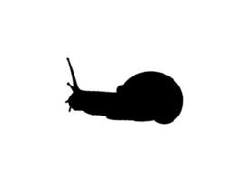 Snails are also called Escargot Silhouette for Logo, Art Illustration, Apps, Website or Graphic Design Element. Vector Illustration