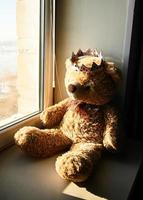 Fluffy brown teddy bear, sitting on the window. photo