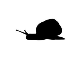 Snails are also called Escargot Silhouette for Logo, Art Illustration, Apps, Website or Graphic Design Element. Vector Illustration