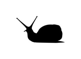 Snails are also called Escargot Silhouette for Logo, Art Illustration, Apps, Website or Graphic Design Element. Vector Illustration