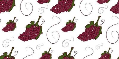 Grape Doodle seamless pattern. Vector outline wine color with curls. Bunch of grapes endless image.