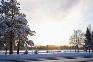 A frozen little lake. Ice on the pond in sunny weather. A sunny winter day photo