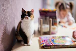 Cat on table against baby girl decorating art with glitter decor. photo