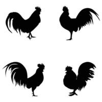 Rooster silhouette. Hen bird element illustration in simple flat style isolated on white background vector