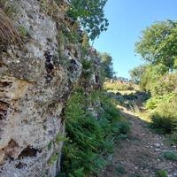 árbol paisaje en naturaleza montañas foto