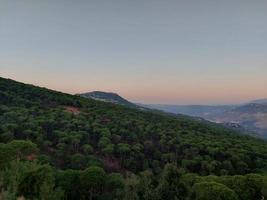 Tree landscape in nature mountains photo