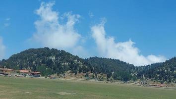 Tree landscape in nature mountains photo